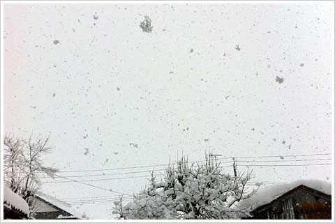 雪