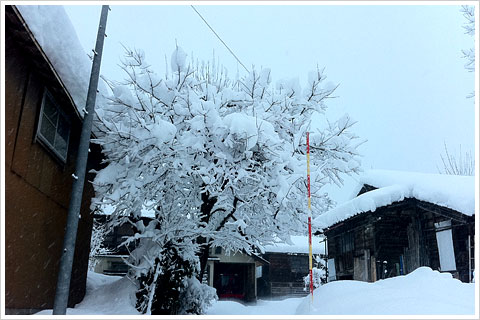 大雪警報